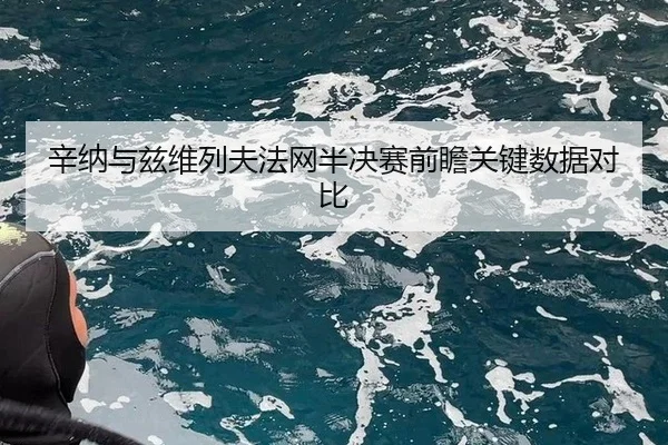 辛纳与兹维列夫法网半决赛前瞻关键数据对比