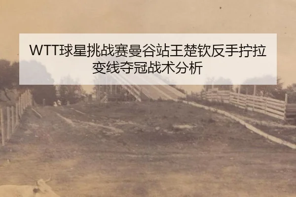 WTT球星挑战赛曼谷站王楚钦反手拧拉变线夺冠战术分析